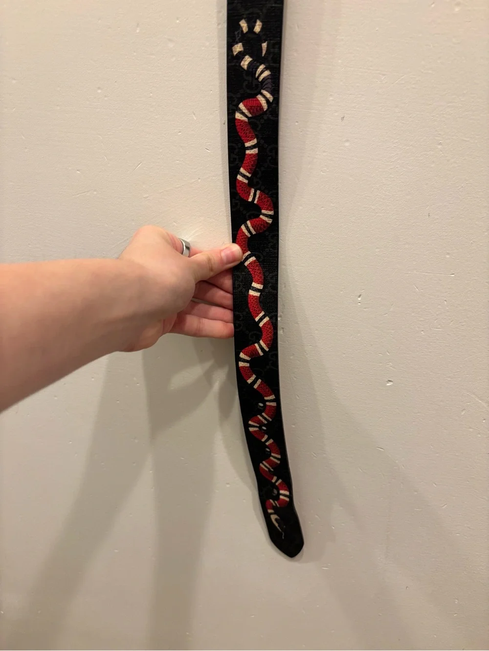 Gucci Black Monogram Belt with Red & White Snake Accent